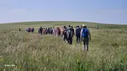 17 balades gratuites en Lozère pour l'année des parcours pastoraux