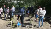 28 grenadiers plantés à Montfrin pour le projet 