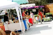36e Foire bio à Signes : écologie et engagement citoyen au programme