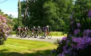 4e Souvenir Lucien-Desmond : une cinquantaine de coureurs à Sindères