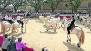 500 passionnés célèbrent la fête taurine à Jonquières-Saint-Vincent