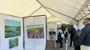 80 artistes exposent à Sète pour la 12e édition de L'art prend le large