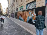 A-MO, le street artiste bordelais qui transforme le tag en art animalier