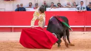 Aaron Palacio : Nîmes reste la plus belle sortie en triomphe de ma vie