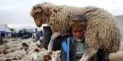 Aïd el-Kébir : sens et traditions de la fête du sacrifice