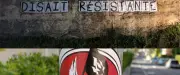 Affichage haineux à Mende : la Ville porte plainte après des dégradations