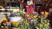 Albatilia célèbre le printemps avec 500 fleurs et une surprise géante