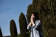 Allergies : les Alpes-Maritimes en risque élevé pour le pollen de graminées