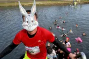 Animations sportives et culturelles ce week-end en Charente-Maritime