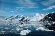 Antarctique en péril : la fonte s'accélère dangereusement