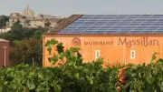 Atelier plantes sauvages et dégustation de vins au Domaine Massillan