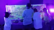 Atelier Van Gogh immersif pour enfants à Redessan