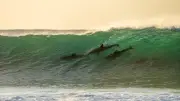 Attaque de créature marine : un photographe mordu, la compétition de surf évacuée