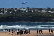Attaque mortelle d'un grand requin blanc de 4 mètres près de Perth