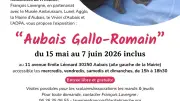 Aubais : 400 pièces gallo-romaines exposées pour un voyage dans l'Antiquité