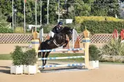 Azur Jumping 2026 : le rendez-vous équestre incontournable à Figanières