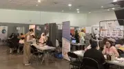 Bac+5 et sans emploi : le désarroi des jeunes en quête d'alternance
