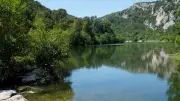 Balade gratuite pour découvrir la ripisylve à Collias le 3 juin