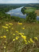 Balade nature à Trémolat pour observer la biodiversité locale