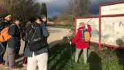 Balades sur la via Domitia avec Brigitte Pierre à Mèze
