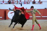 Bolsin de Bougue : tremplin vers les sommets de la tauromachie