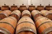 Bordeaux 2025 : un millésime d'exception qui réinvente le vin