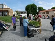 Bourse aux plantes : échanges et conseils entre jardiniers