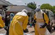 Brésil : deux cas suspects d'Ebola placés à l'isolement