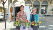 Budget municipal : hausse des impôts de 3 % à Thézan-lès-Béziers