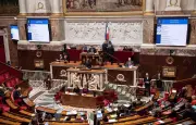 Cadmium dans l'alimentation : une proposition de loi en danger