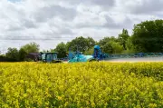 Cadmium : la droite et l'extrême droite accusées d'obstruction