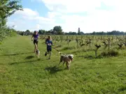 Canicross de Gaillan-en-Médoc : une cinquantaine de participants au rendez-vous printanier