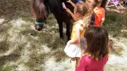 Castries : une journée petite enfance gratuite au bois de la Guesse