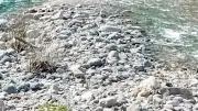 Championnat de France de pêche à la truite à Val-d'Aigoual