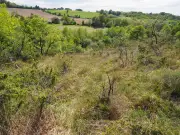 Chantier participatif pour restaurer une prairie à Arthez-de-Béarn