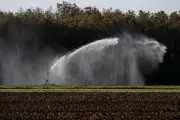 Charente-Maritime : alerte vigilance pour l'irrigation agricole dans le nord