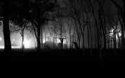 Chez Thomas Ligotti : la peur comme essence de l'existence