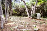 Cimetière musulman de Sainte-Marguerite : un lieu de mémoire en devenir