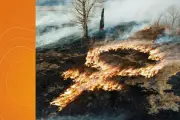 Climat sexiste : les ONG alertent avant le G7 sur l'impact sur les femmes
