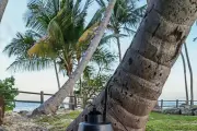 Club Med d'Opio teste des pièges innovants contre les moustiques