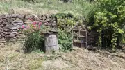 Combret installe une ruche-tronc dans son verger communal