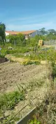Concours d'épouvantails poétiques aux Jardins partagés des Ménonnières
