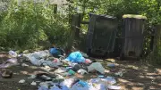 Conteneurs à sécuriser face aux sangliers dans le Gard