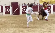 Course landaise à Garlin : spectacle réussi pour les ganaderias Morandin et Dargelos