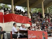 Course landaise à Orthez : un spectacle complet sous le soleil