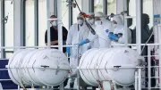Crise hantavirus : auto-isolement, modélisations et décisions gouvernementales