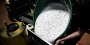 Dans la vallée du plastique, le conflit au Moyen-Orient dope les prix