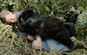 David Attenborough fête ses 100 ans : retour sur une vie dédiée à la nature