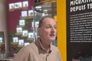 De Toumaï à Sapiens : l'exposition qui réinvente notre histoire humaine