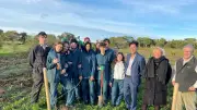 Des élèves plantent un prunier Reine-Claude pour sauvegarder ce fruit emblématique